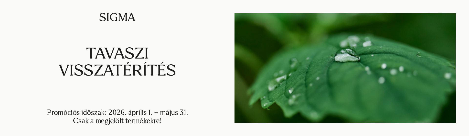 Camera Kft. webáruház