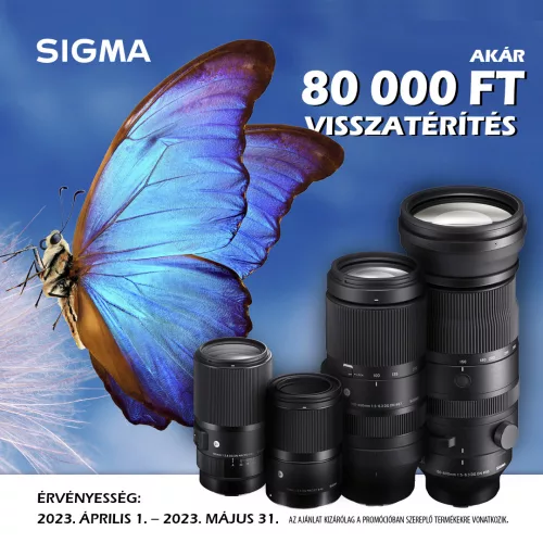 Sigma 70mm / 2.8 DG MACRO | Art - Sony SE bajonettes (271965)