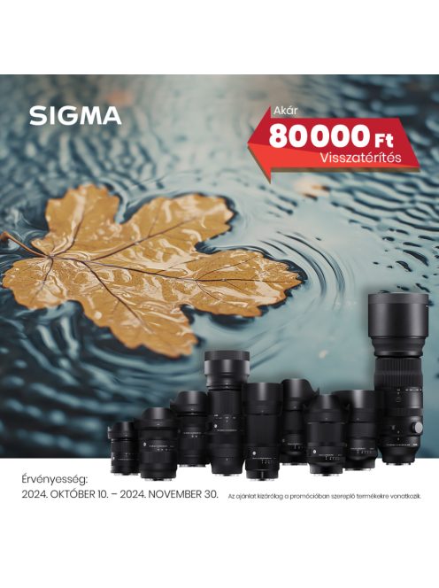 Sigma 105mm / 2.8 DG DN MACRO | Art - Sony SE bajonettes (260965)