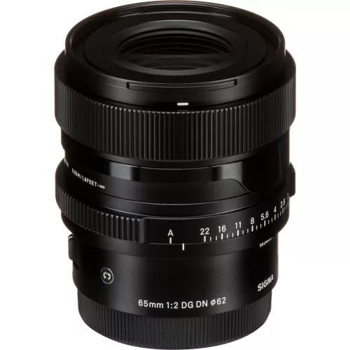 Sigma 65mm / 2 DG DN | Contemporary - Sony SE bajonettes (353965)