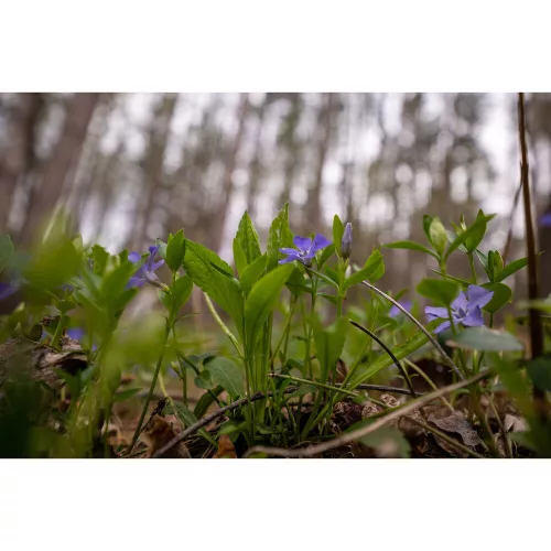 Sigma 16-28mm / 2.8 DG DN | Contemporary - Sony SE bajonettes (206965)