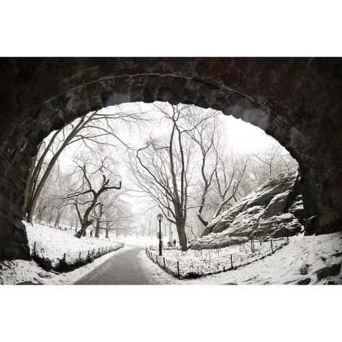 Sigma 15mm / 1.4 Fisheye DG DN | ART - Sony SE bajonettes (478965)