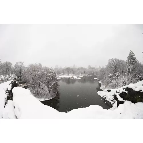 Sigma 15mm / 1.4 Fisheye DG DN | ART - Sony SE bajonettes (478965)