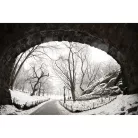 Sigma 15mm / 1.4 Fisheye DG DN | ART - Leica L bajonettes (478969)