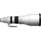Sigma 300-600mm f/4 DG OS Sports Lens (Sony E) (598965)