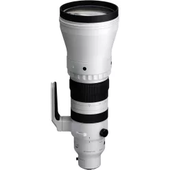 Sigma 300-600mm f/4 DG OS Sports Lens (Leica L) (598969)