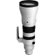 Sigma 300-600mm f/4 DG OS Sports Lens (Leica L) (598969)