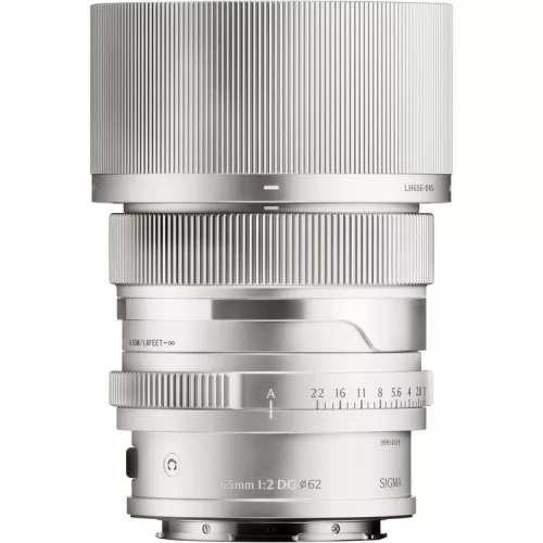 Sigma 65mm / 2 DG DN | Contemporary - Silver (Leica L) (3S3969)