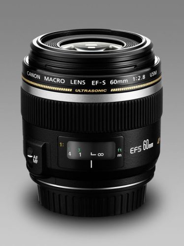 Canon EF-S 60mm / 2.8 USM Macro