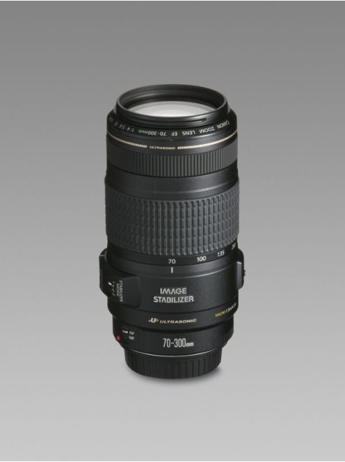 Canon EF 70-300mm / 4-5.6 IS USM