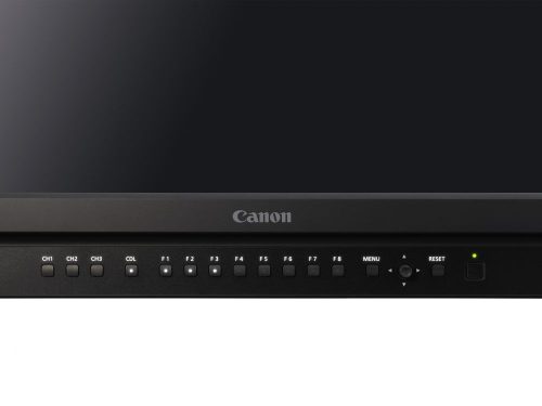 Canon DP-V2410 (4K) Reference Monitor (24") (1019C003)