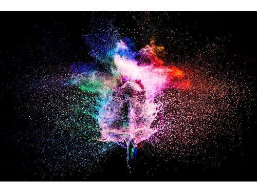 HÄHNEL Captur Module Pro (1000 708.1)