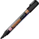 ZIG Kuretake - Posterman PMA-550 (Wet-wipe) (Black) 