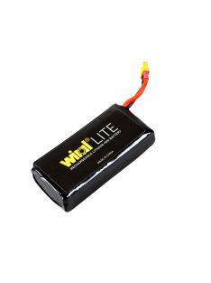 Wiral Extra Battery 