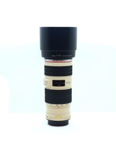 Canon EF 300mm / 2.8 L IS USM mark II