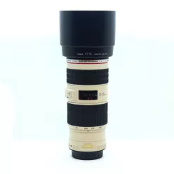 Canon EF 300mm / 2.8 L IS USM mark II