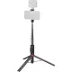 SmallRig 5292 x Drex Lee Boom Selfie Stick ST30 Lite Black