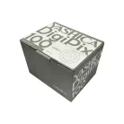 YASHICA DigiPix 100 (silver)