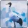 SmallRig 6042 Camera Wrap Wild China Film Series Black-Necked Crane Pattern