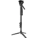 SmallRig 6622 Aluminum Monopod (4 sections) with Videohead (6622)