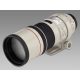 Canon EF 300mm / 4.0 L IS USM