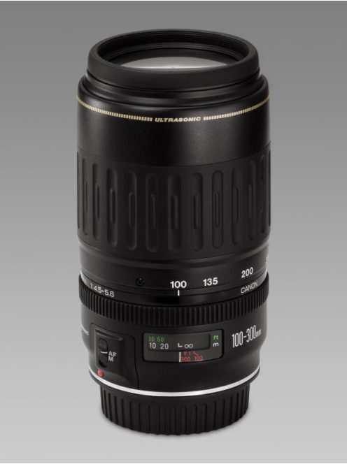 Canon EF 100-300mm / 4.5-5.6 USM