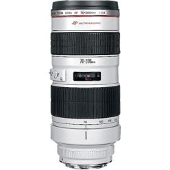 Canon EF 70-200mm / 2.8 L USM (2569A018)