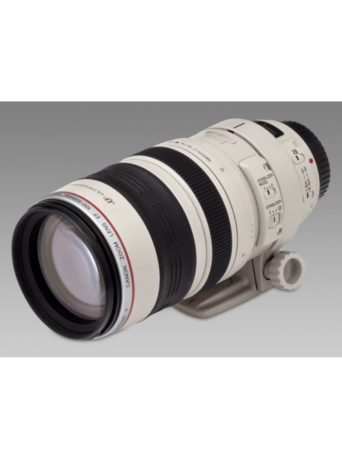 Canon EF 100-400mm / 4.5-5.6 L IS USM