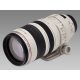 Canon EF 100-400mm / 4.5-5.6 L IS USM