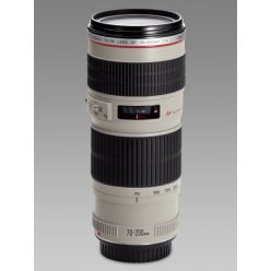 Canon EF 70-200mm / 4.0 L USM