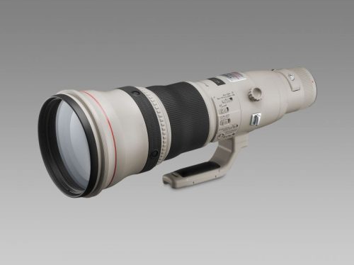 Canon EF 800mm / 5.6 L IS USM