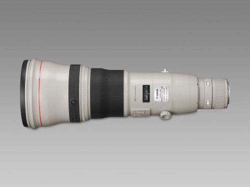 Canon EF 800mm / 5.6 L IS USM