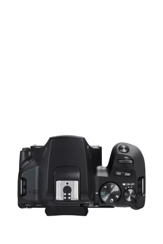 Canon EOS 250D body 1+2 years warranty**, black (3454C001)