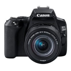   Canon EOS 250D body 1+2 years warranty** + EF-S 18-55mm /4-5.6 IS STM, black (3454C002)