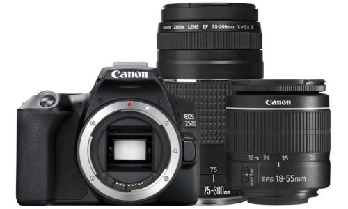 Canon EOS 250D body 1+2 years warranty** + EF-S 18-55mm /3.5-5.6 III, black (3454C003)