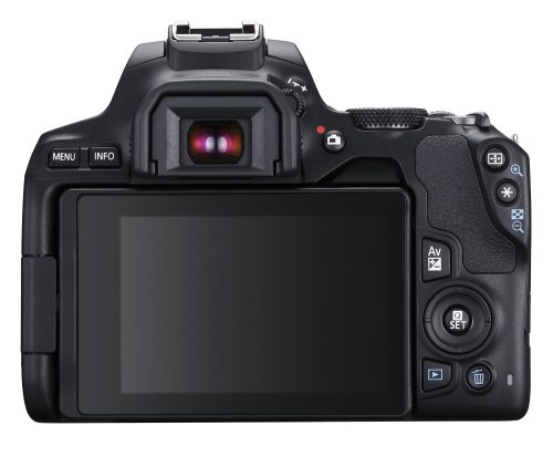 Canon EOS 250D body 1+2 years warranty** + EF-S 18-135mm /3.5-5.6 IS STM, black (3454C019)