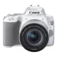 Canon EOS 250D body 1+2 years warranty** + EF-S 18-55mm /4-5.6 IS STM, white (3458C001)