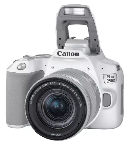 Canon EOS 250D body 1+2 years warranty** + EF-S 18-55mm /4-5.6 IS STM, white (3458C001)