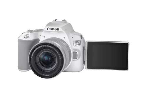 Canon EOS 250D body 1+2 years warranty** + EF-S 18-55mm /4-5.6 IS STM, white (3458C001)
