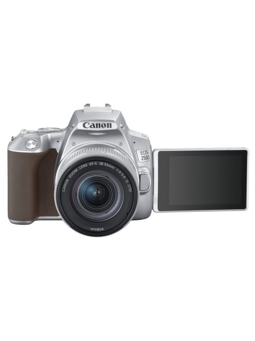 Canon EOS 250D body 1+2 years warranty** + EF-S 18-55mm /4-5.6 IS STM, silver (3461C001)