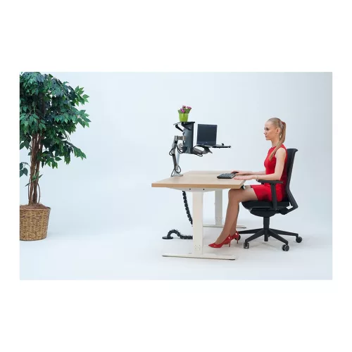 Stell SOS 2020 DUAL monitortartó (13"-32")