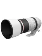 Canon RF 100-500mm / 4.5-7.1 L IS USM (4112C005)