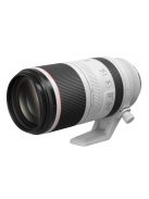 Canon RF 100-500mm / 4.5-7.1 L IS USM (4112C005)