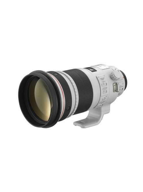 Canon EF 300mm / 2.8 L IS USM mark II (4411B005)