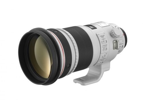 Canon EF 300mm / 2.8 L IS USM mark II (4411B005)