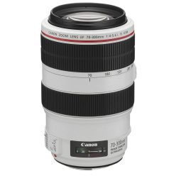 Canon EF 70-300mm / 4.0-5.6 L IS USM