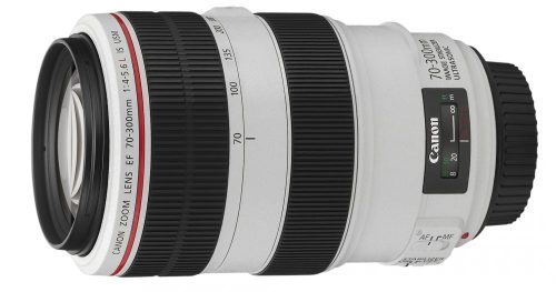 Canon EF 70-300mm / 4.0-5.6 L IS USM
