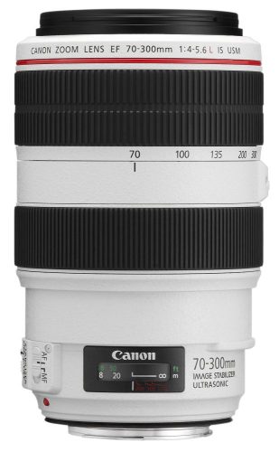 Canon EF 70-300mm / 4.0-5.6 L IS USM