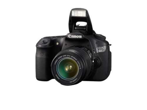 Canon EOS 60D + EF-S 18-55mm / 4-5.6 IS II