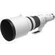 Canon RF 800mm / 5.6 L IS USM (5055C005)